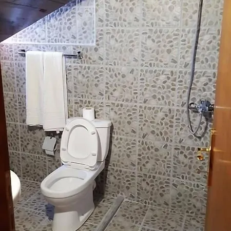 Ξενοδοχείο Bujtina E Bardhe Κορυτσά